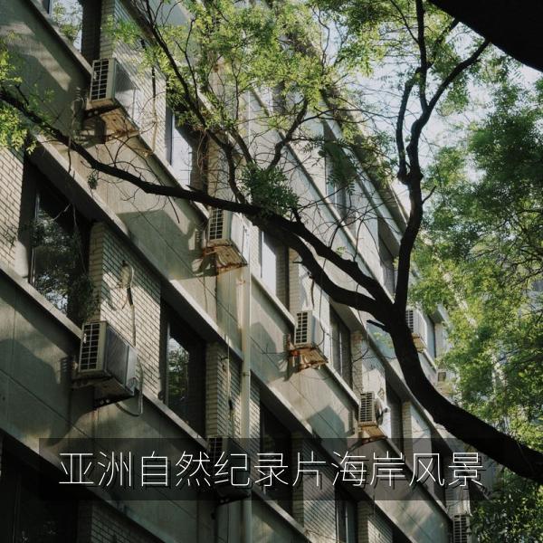 亚洲自然纪录片海岸风景